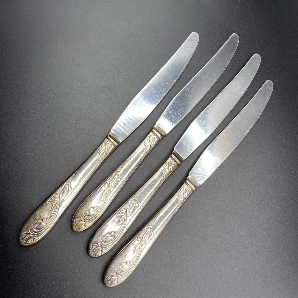 Vintage NS Co National Silver Co Silverplated 4 Dinner Knives Garden of Roses